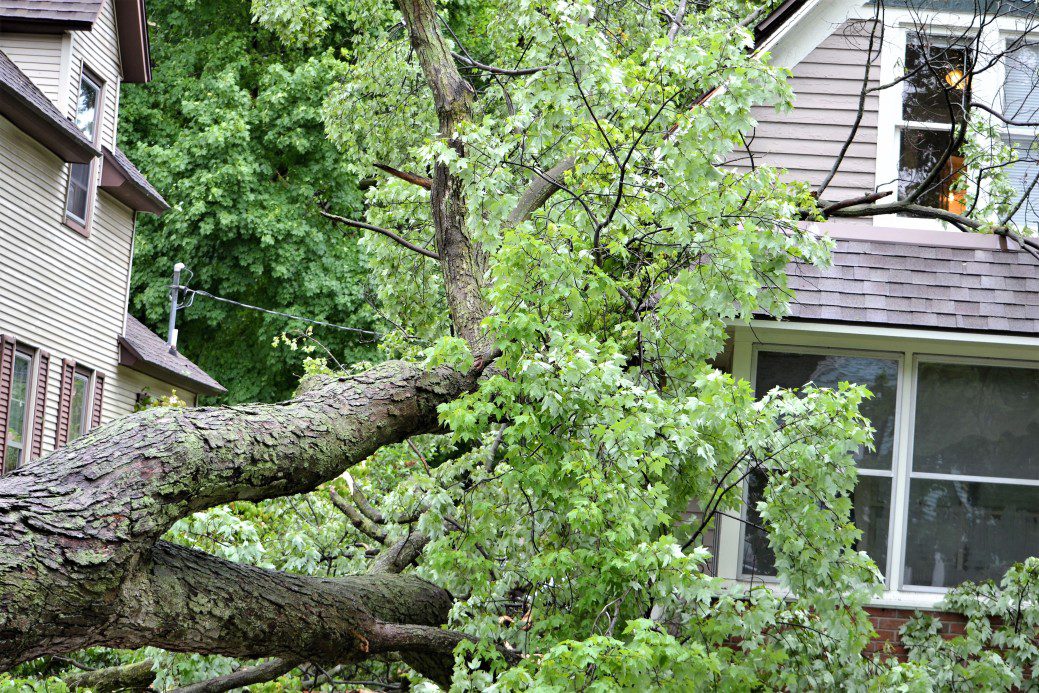 destroyed roof in a house due to a fallen tree after a heavy storm in need of roof replacement - insurance covering roof replacement