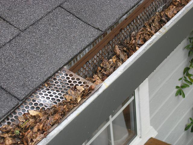 Gutter guards, why you should install them