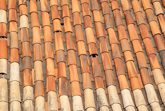 Terracotta roof tile