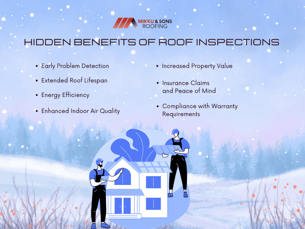 infographic illustration on the hidden benefits of roof inspections