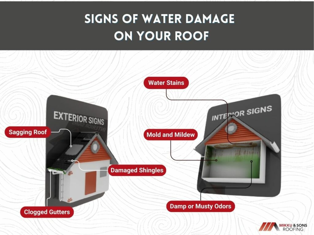 infographic illustration on signs of water damage on your roof